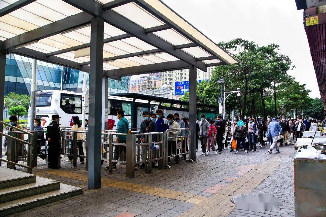 说实话,我在高新园排过队,在白石龙排过队,本以为都够恐怖了