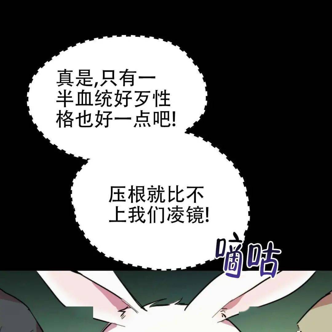 兔子受人h又羞又野我们生个可爱小兔子吧