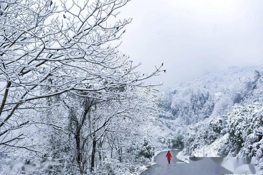 彭州10大最美雪景拍照路线新鲜出炉