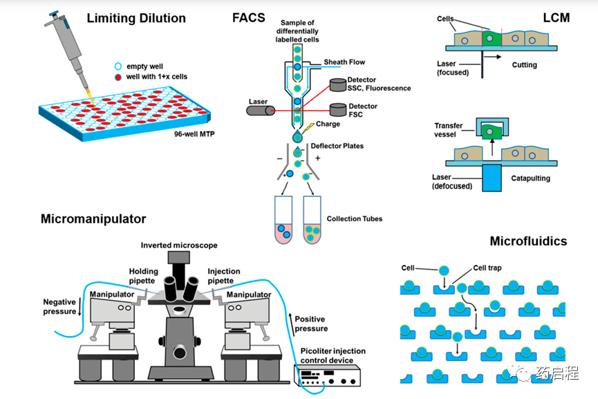 单细胞分离技术