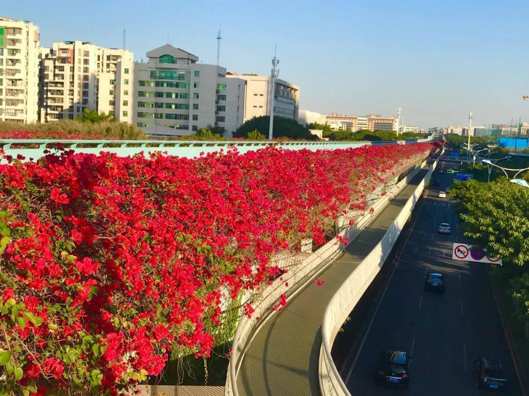 徐光辉_厦门_蔡塘
