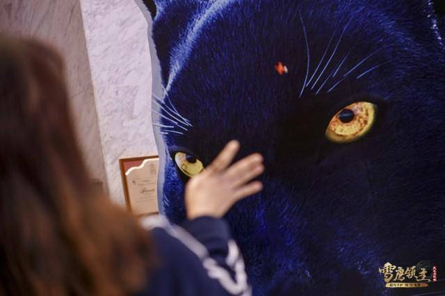 国漫《雪鹰领主》打造沉浸式体验_东伯_世界_场景