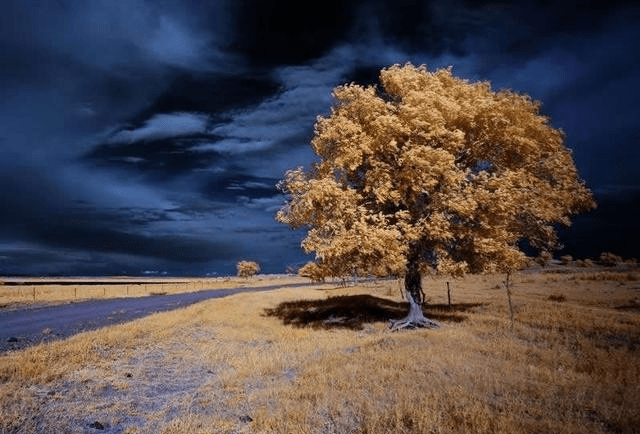 什么时候有雪月 cf586594514b429085974a417cc6d5c3.png
