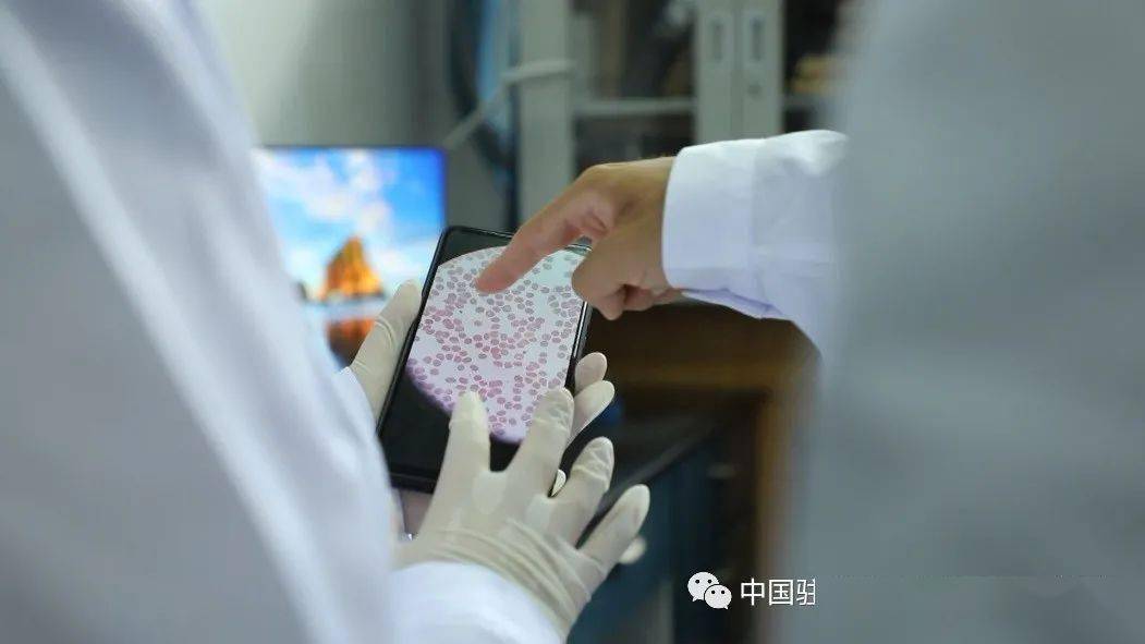 通过智能手机拍照就可实时进行血涂片的现场或远程检测