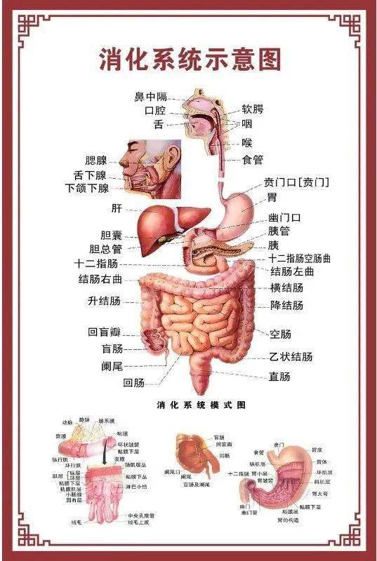 火速围观镇江新区这家机构发布