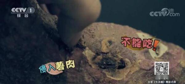 红薯|香蕉居然有辐射？专家：是真的，但……