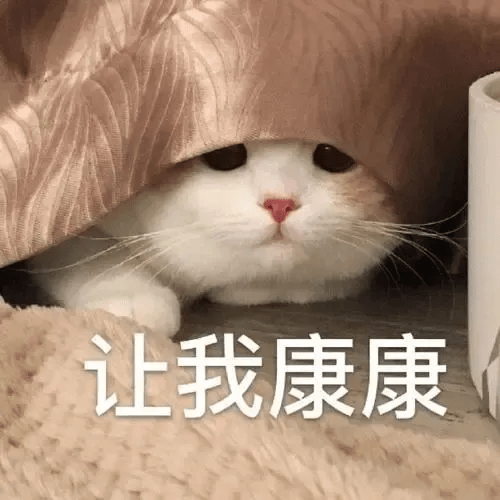 邓超陈赫郭京飞与猪鸡"斗智斗勇",王勉成彭昱畅专属发型师?