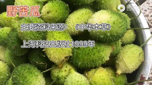 野苦瓜的作用与功效图片