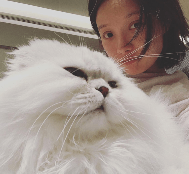 倪妮素颜罕见曝光怀抱宠物猫噘嘴自拍略显憔悴
