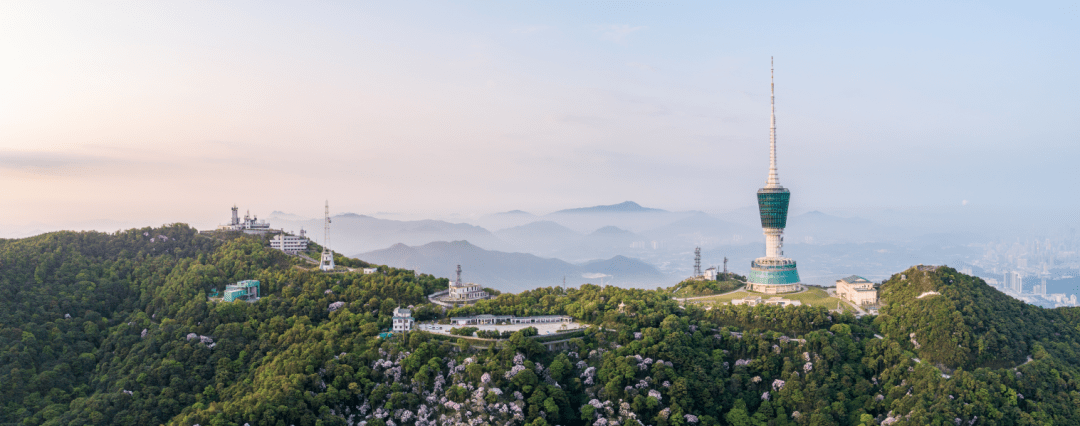 广东|藏不住了！梧桐山入选广东最美旅游目的地！3条路线赏遍美景！