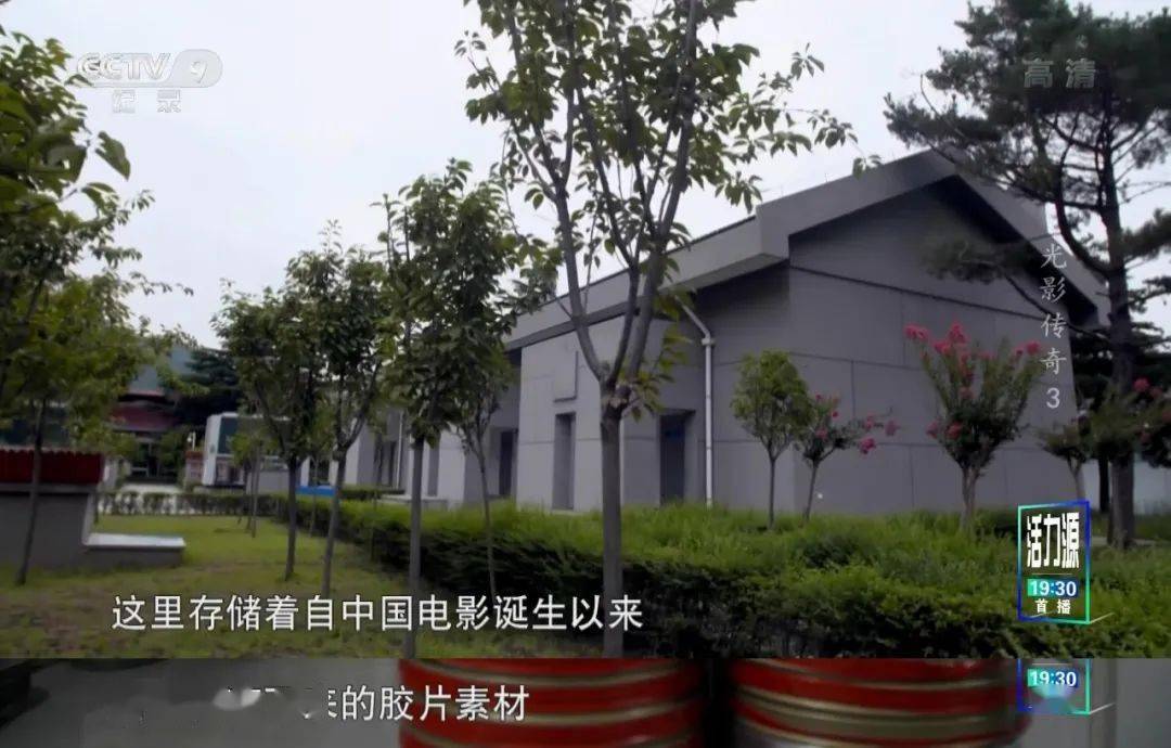 胶片|影迷必看！央视出手，果然是王炸…