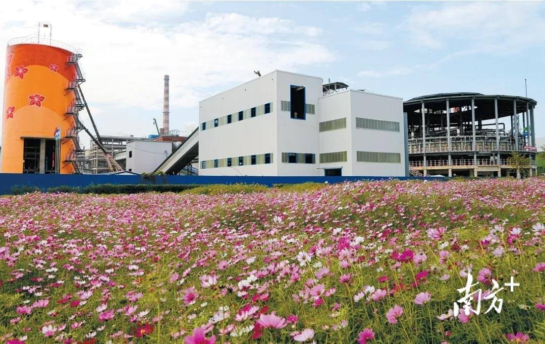 1至10月广东产业园规上工业增加值2477亿元同比增长358