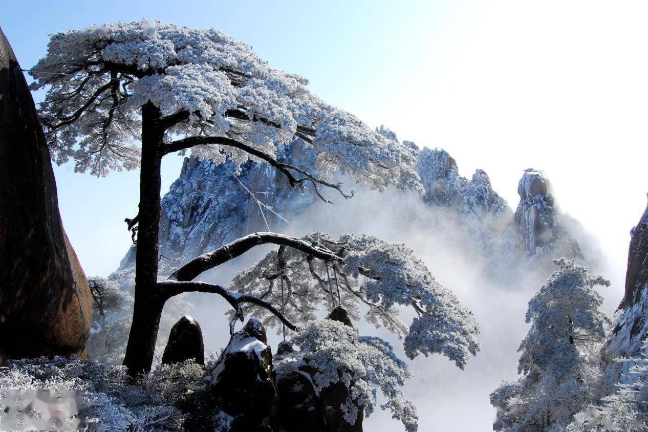 泉水|品味皖美冬韵｜冬游黄山，不可错过的宝藏级奇景！