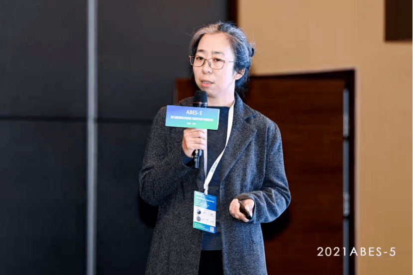 捷威动力研发总监高秀玲高能三元电池电解液研究进展