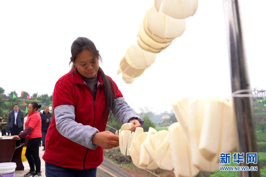 赶水镇|重庆綦江：萝卜“唱戏” 振兴有戏