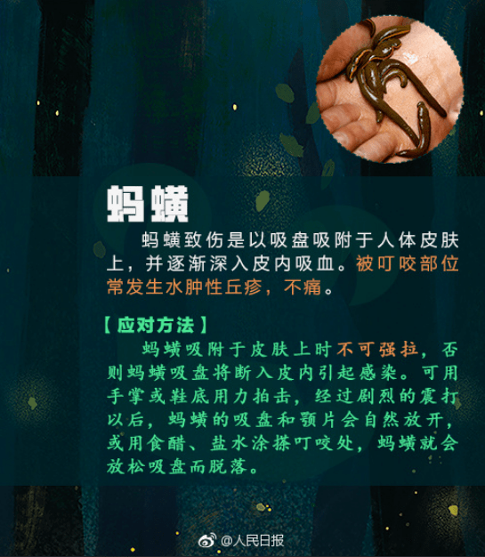 肝功能|女子逗猫后进了ICU，医生提醒：这种病在南方多发