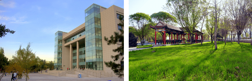 【硕士博士招聘】石河子大学师范学院招聘简章_人才_教学_工作