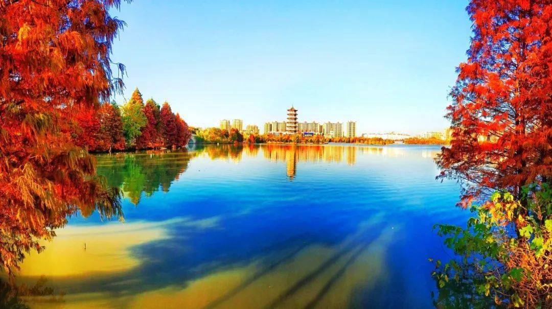 柘城县容湖生态旅游区图片