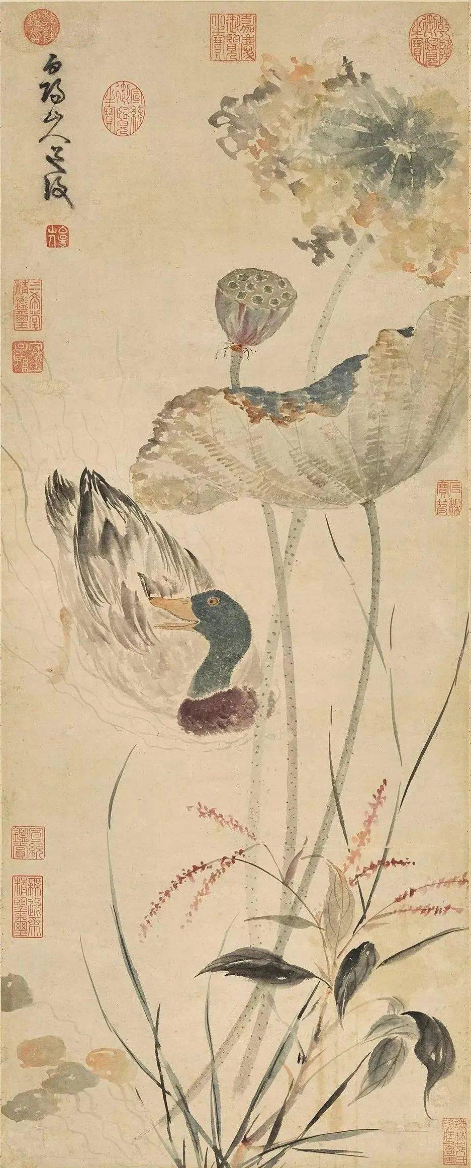 文人写意花鸟画——陈淳_水墨_书名_优惠价