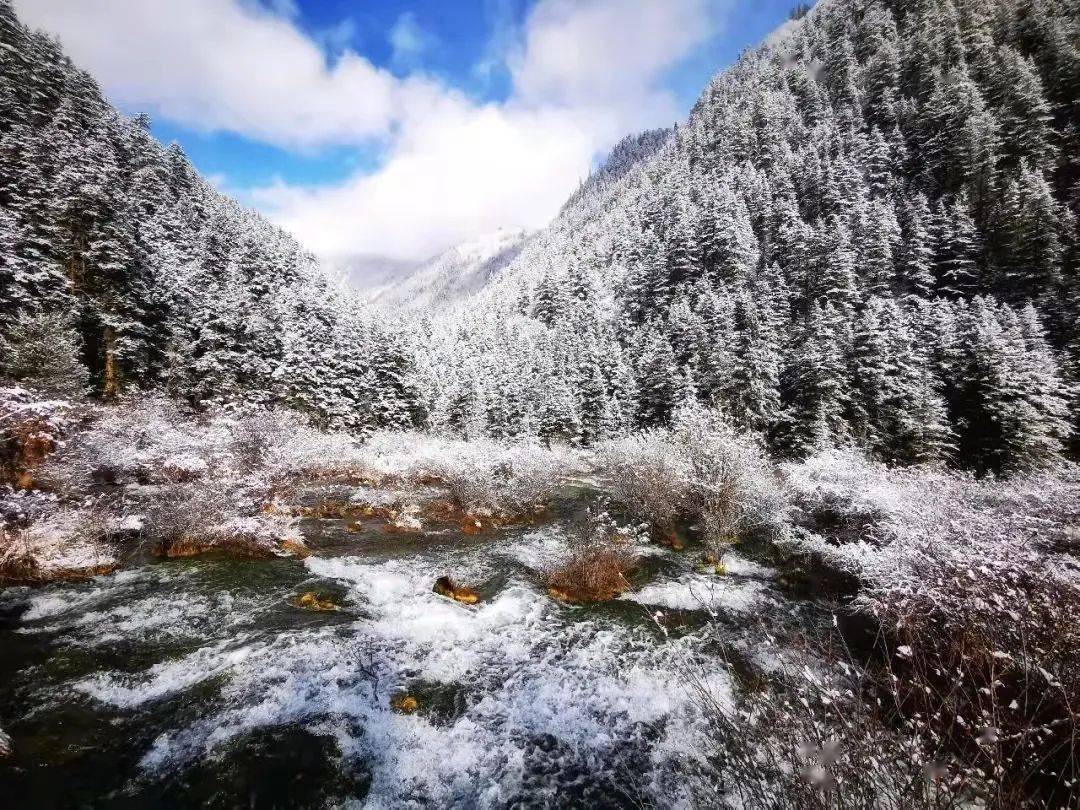 九寨沟|今日九寨，这般美景，你心动了吗？