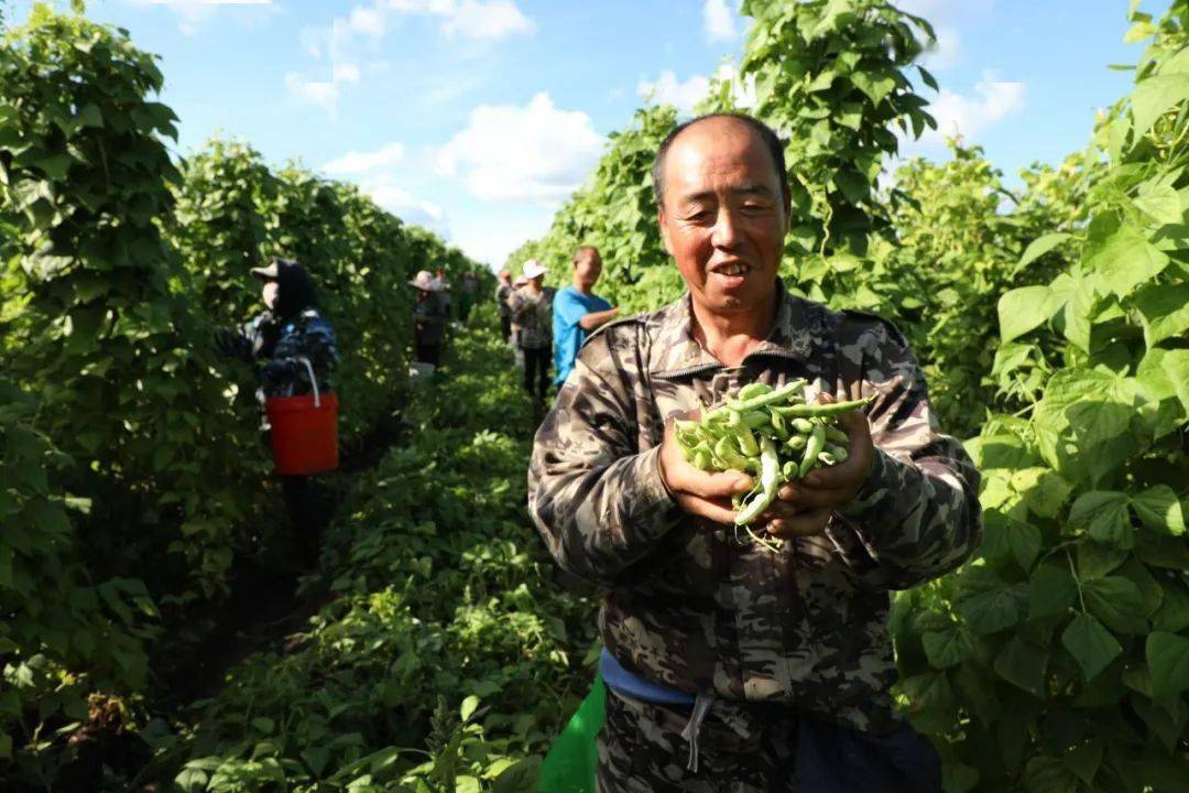 依安县委书记图片