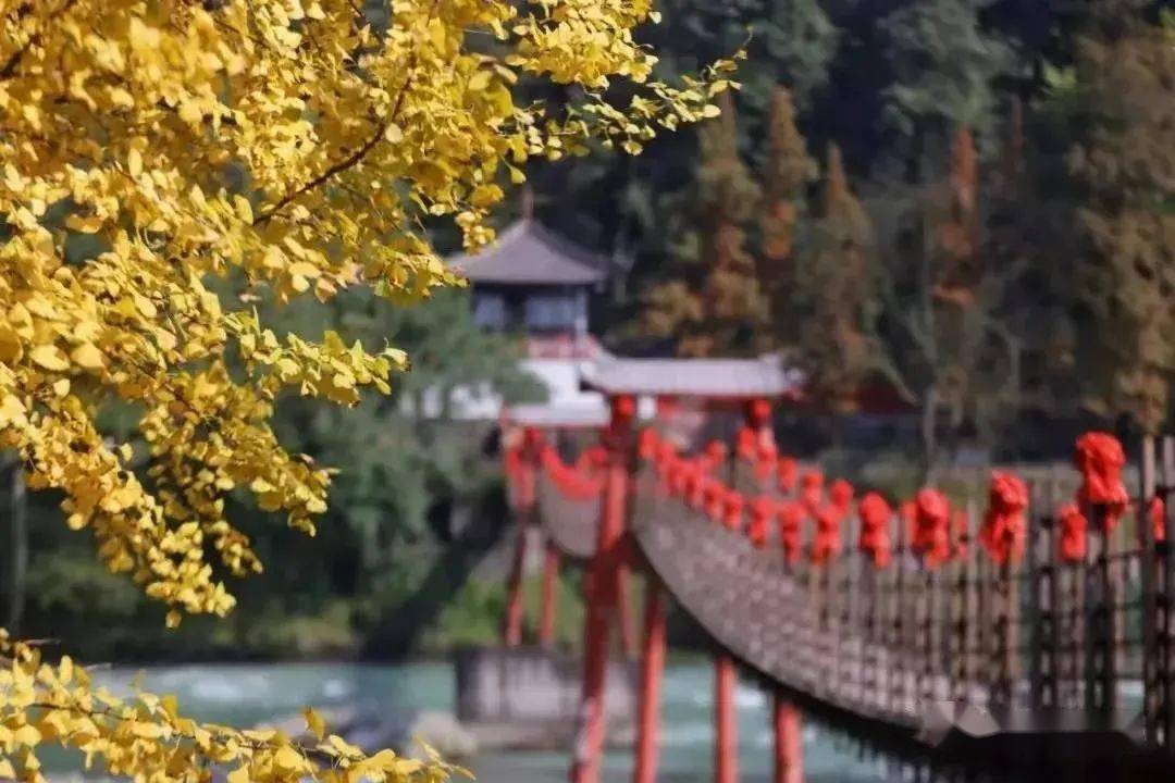 雪山|青城山-都江堰景区12月免费门票，今日开启预约！快来逛景区赏冬景、品美食泡温泉咯～