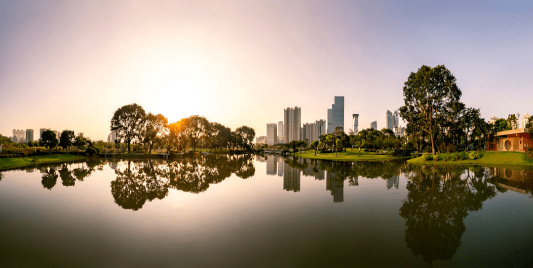 2021年深圳楼市人间清醒的一年