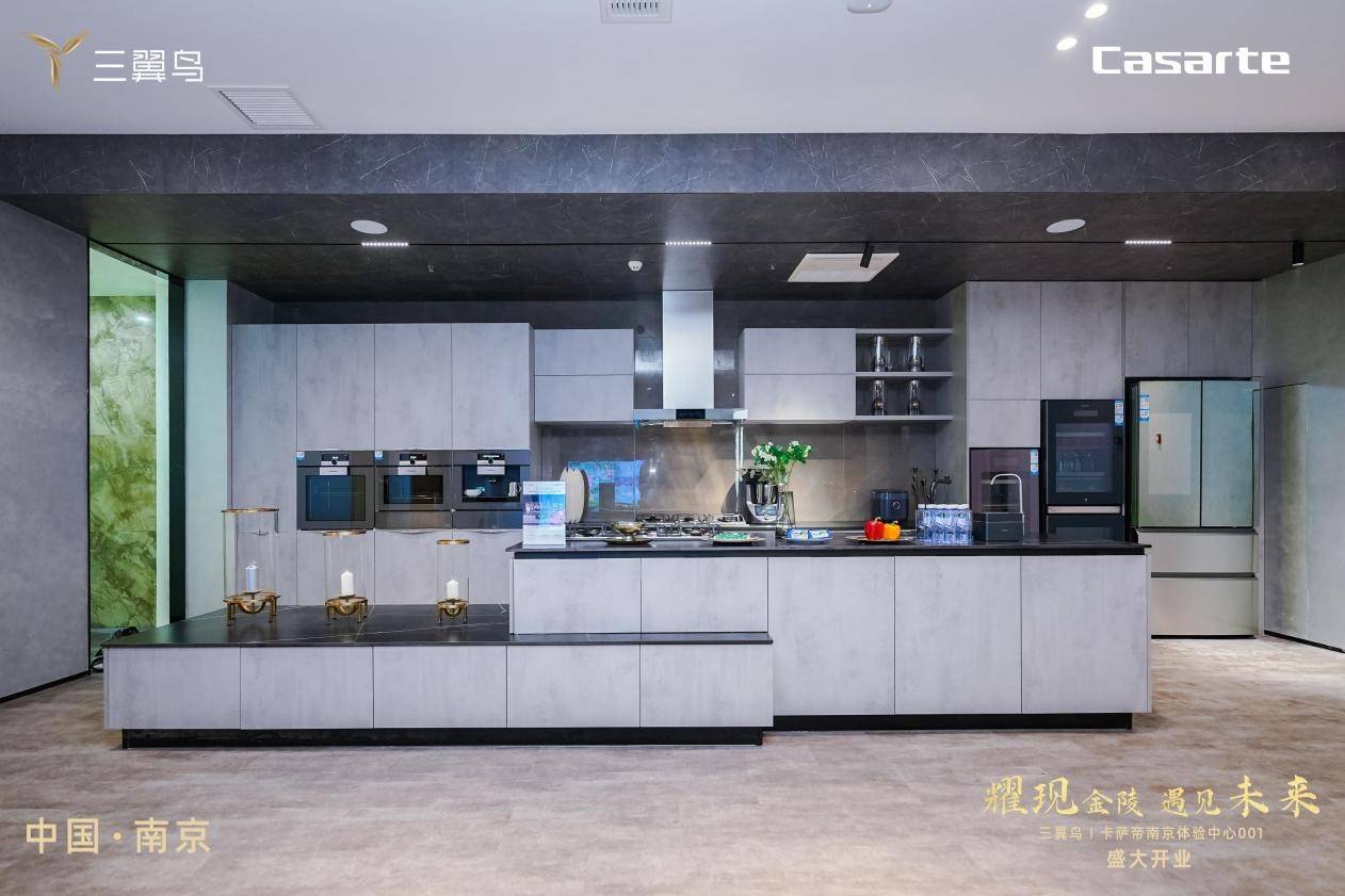 体验店迭代！江苏最大三翼鸟卡萨帝体验中心001南京开业-家电圈官网