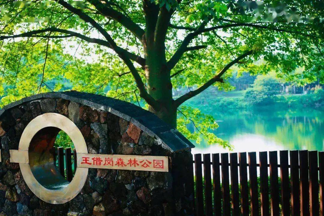 解锁地铁2号线"张槎站":我和森林有个"约会" | 每日一站