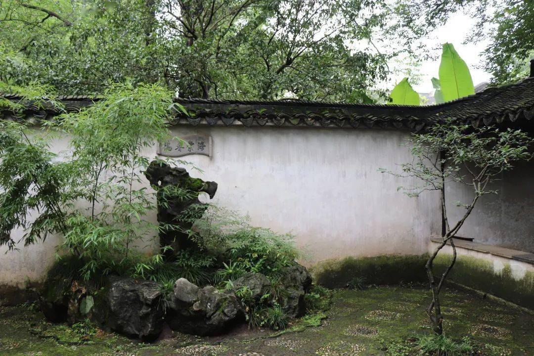 【上周直播回顾】花落春仍在-园林花街铺地_文化_图案_海棠