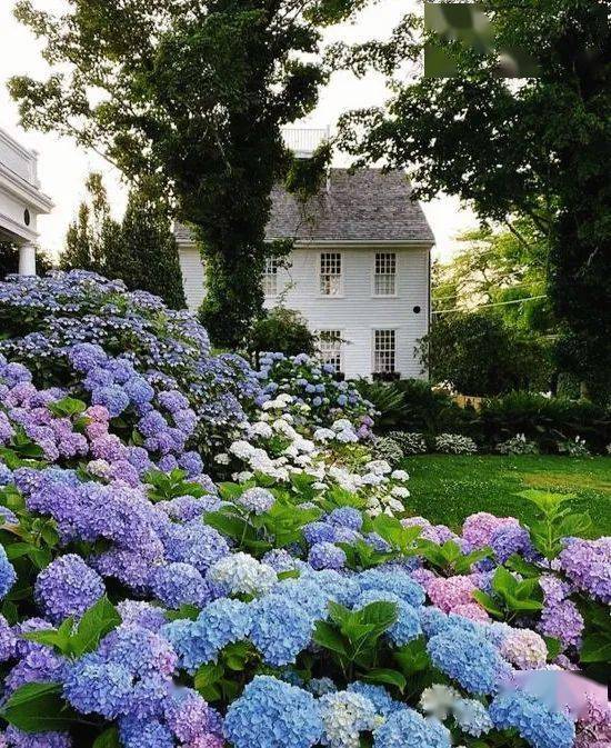 自然环境Pantone发布了2022年度流行色——长春花蓝