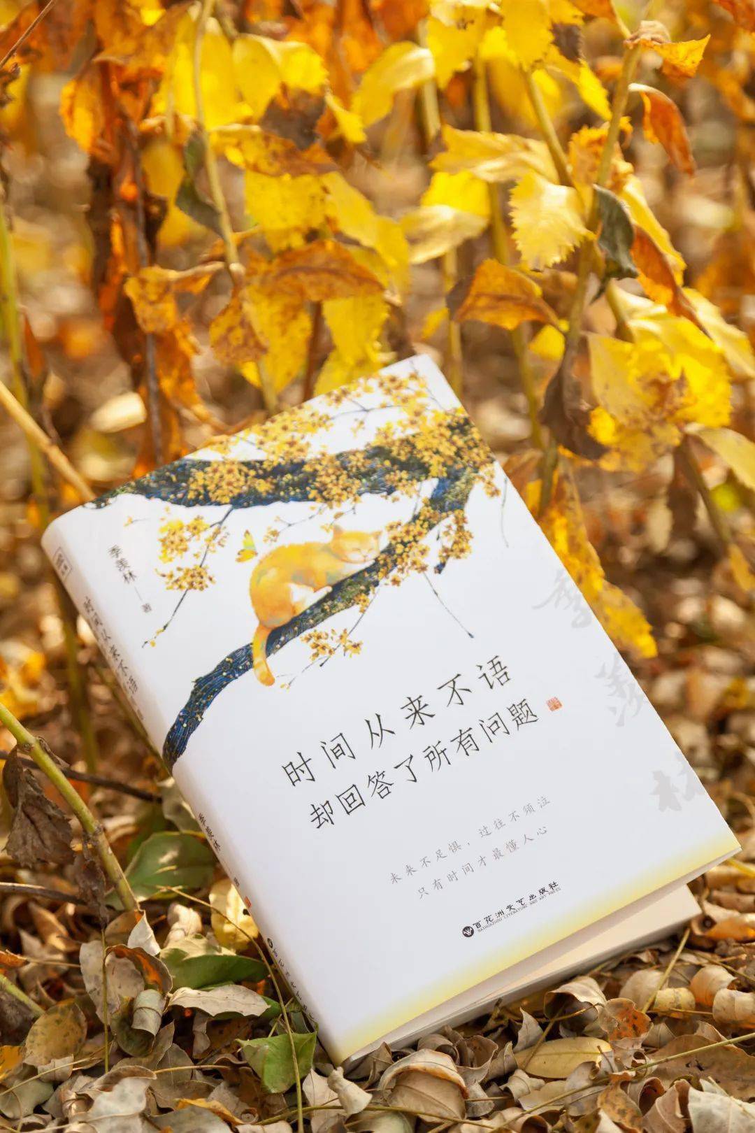 时间从来不语却回答了所有问题