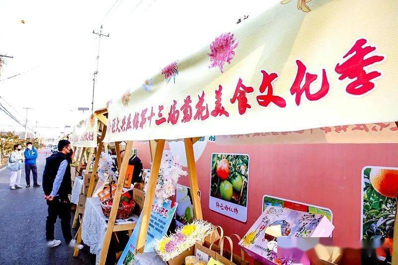 1日|又见61平谷国际徒步大道|网红西柏店菊花宴の赏菊吃菊大朵菊花