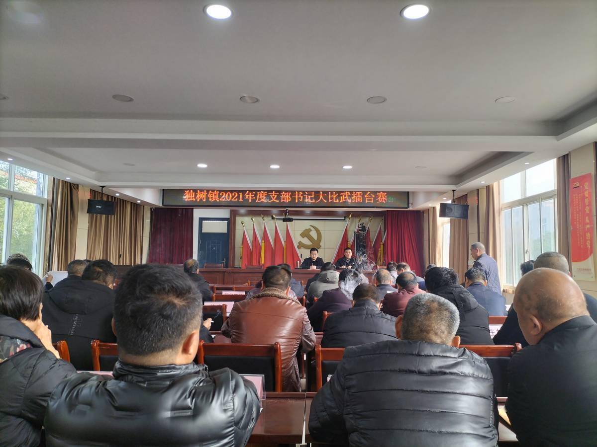 方城县独树镇开展"整乡推进,逐村观摩"暨支部书记大比武活动_工作