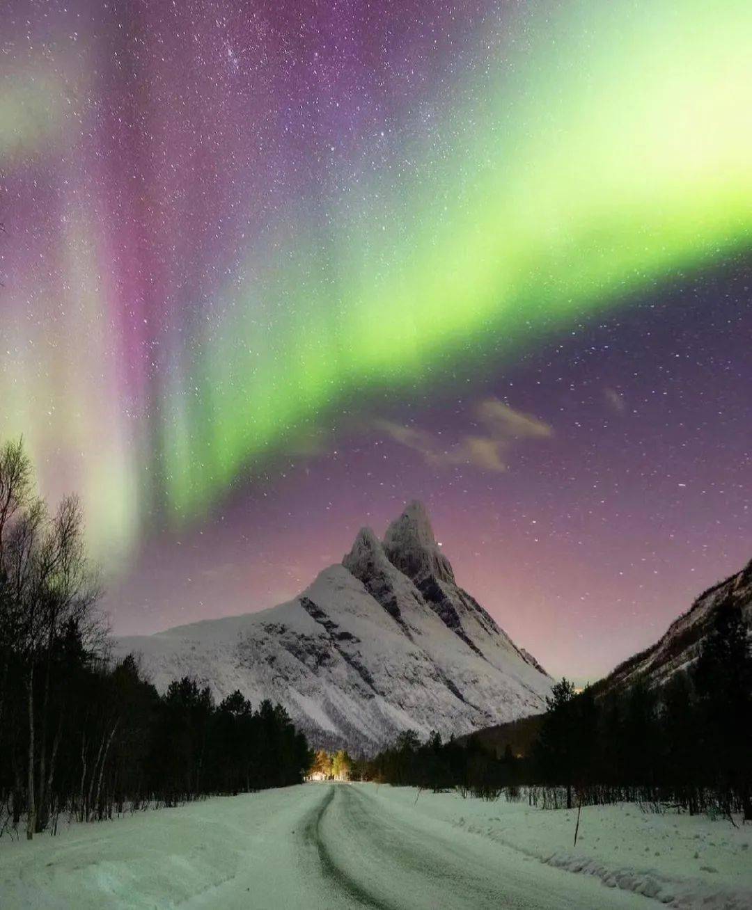 自然环境Pantone发布了2022年度流行色——长春花蓝