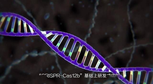 CRISPR-Cas|【晒晒咱的国之重器10】短视频丨基因编辑的精准“剪刀”