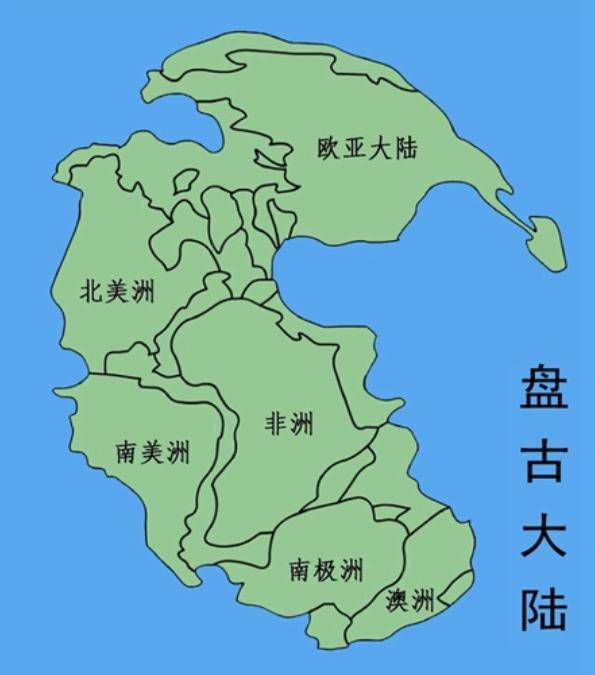 鲨鱼进化之悲歌:被其他霸主欺负亿万年的感觉,你们人类不会懂的