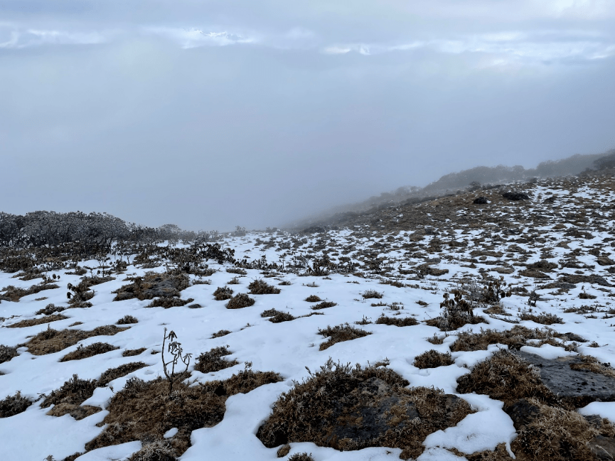 背山|方寸之间 看见生活 | 雪山脚下的那个小山村，不想被雪藏