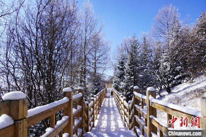 高原|四川若尔盖：雪后雾凇 若诗若画