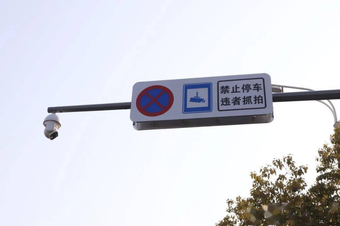 紧急提醒临泉全城抓拍