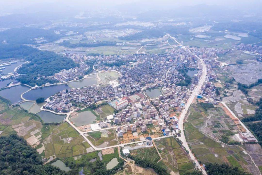 镇委书记在干啥96新兴县稔村镇以书记项目为抓手加快新旧动能转换