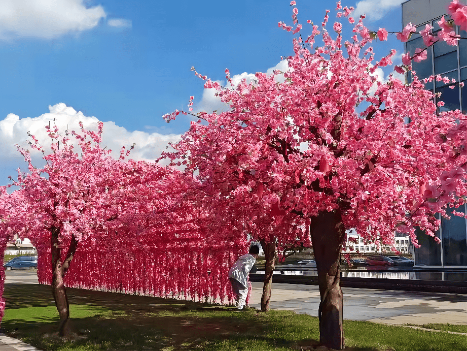 微视角拍变化展成就四平市委组织部摄影作品展