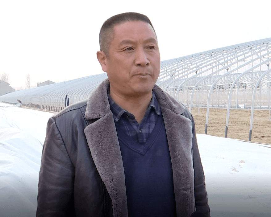 【深入学习贯彻党的十九届六中全会精神】马井镇:践