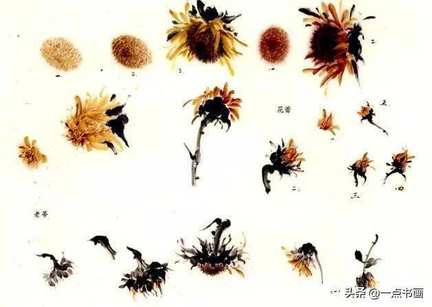 老蒂用两笔画出,讲究方笔圆笔变化,花萼点画时要有层次和质感.