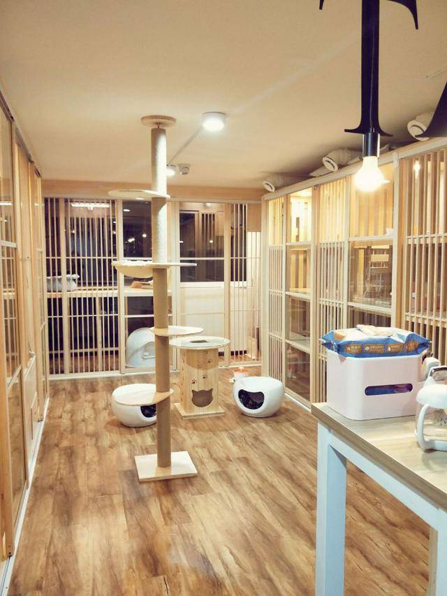 现在的寄养类型主要有宠物店寄养,宠物酒店,家庭寄养,网上寄养平台