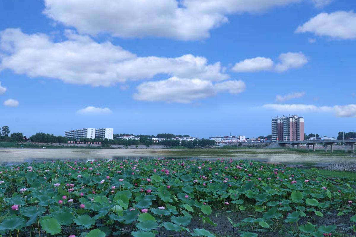 三大工程"为抓手,不断优化城市空间布局,改善人居环境,提升城镇"颜值"