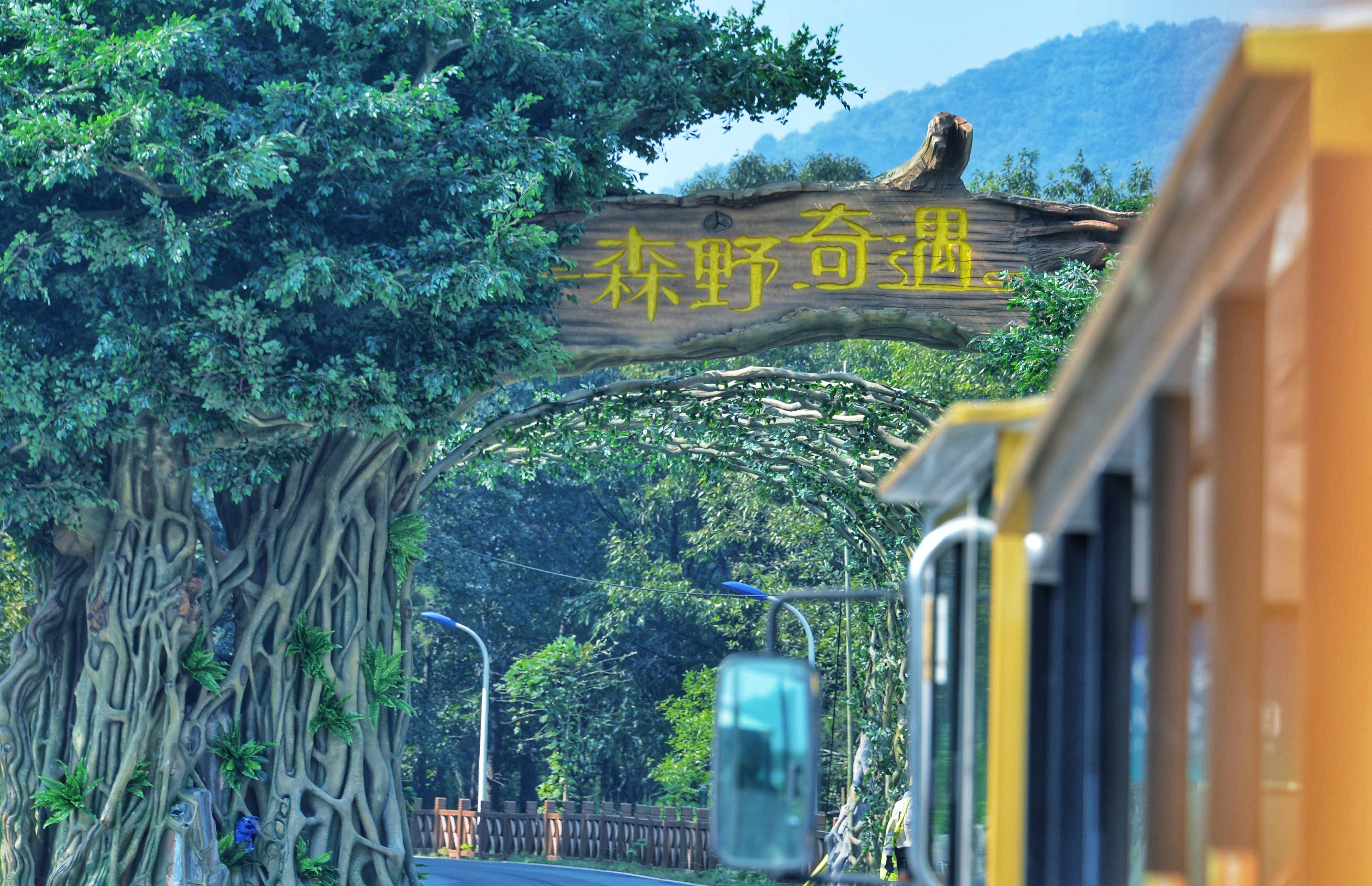 寶盛園更名茅山森林世界新項目林深見鹿開發