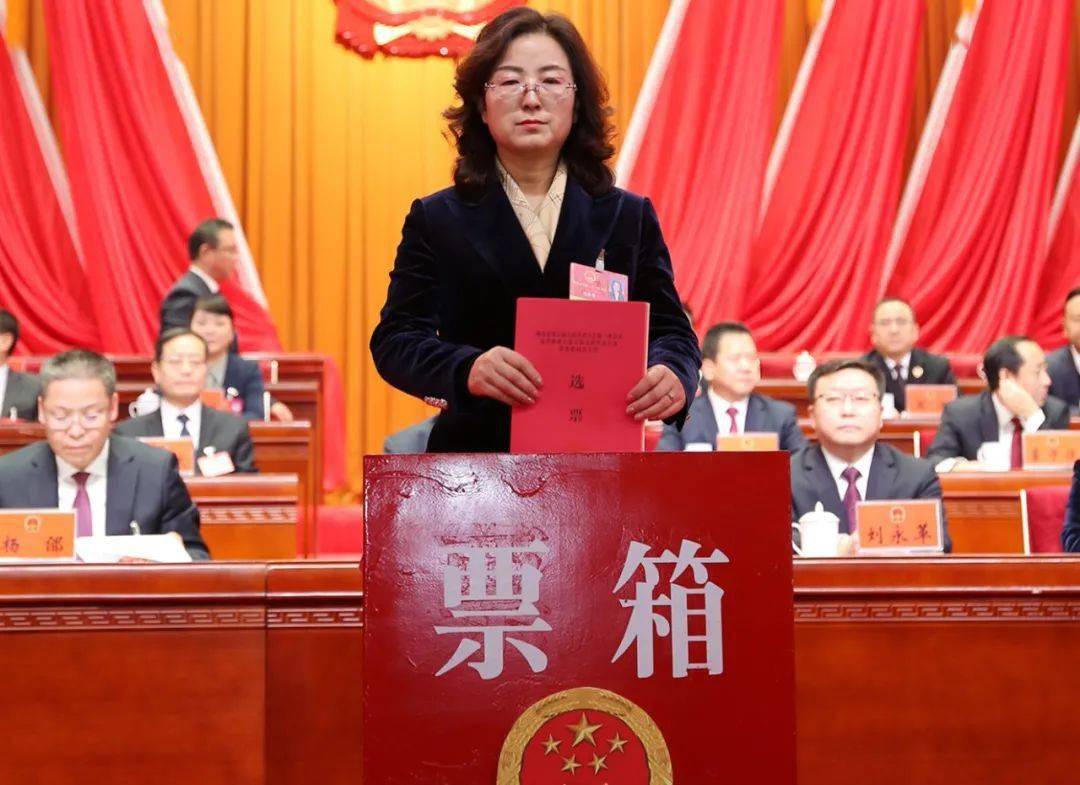 方新生,陈荣,高天佑,田晓琴,李廷俊,曹勇为陇南市第五届人民代表大会