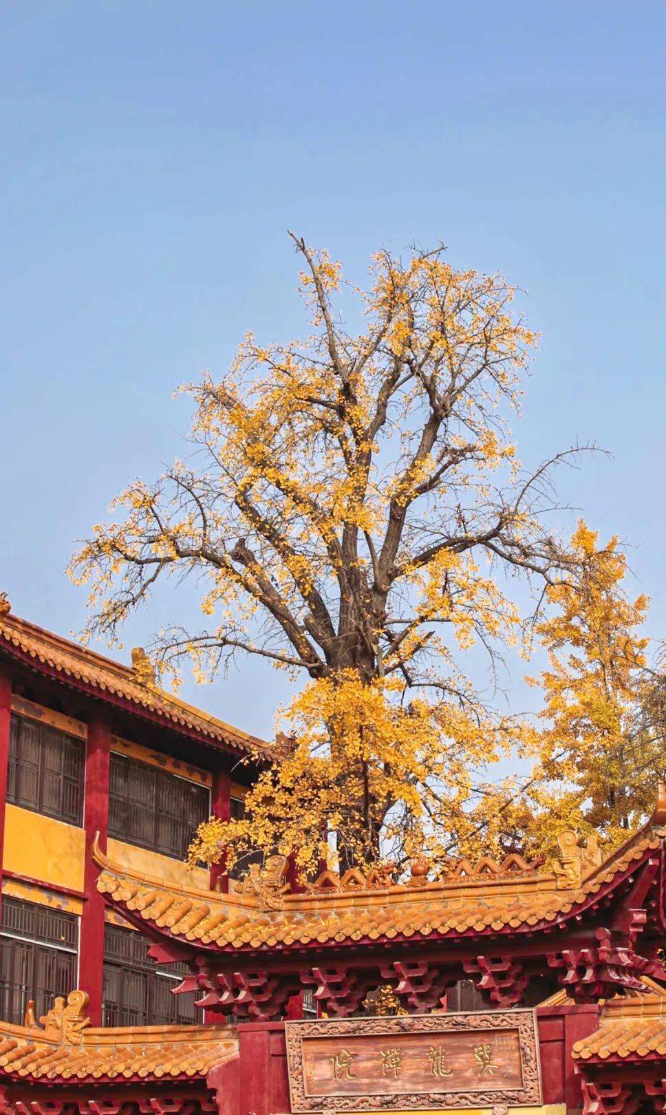 姗姗来迟的意思 10a56bbccf1e4948a0cc754bff66a580.jpeg