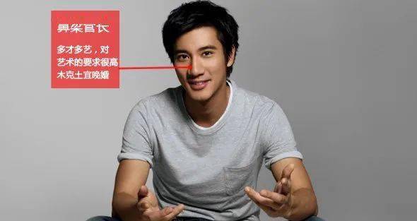 鼻子起节的人很顽固,脾气很大,无法忍受她人犯错,日子中即是胸怀不